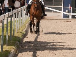 img-00131-523